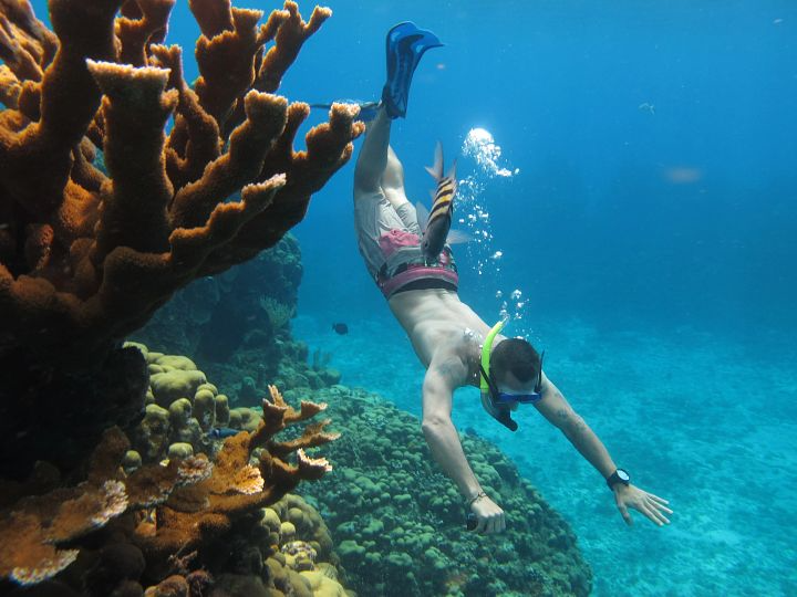 Cozumel reef snorkeling 720x540